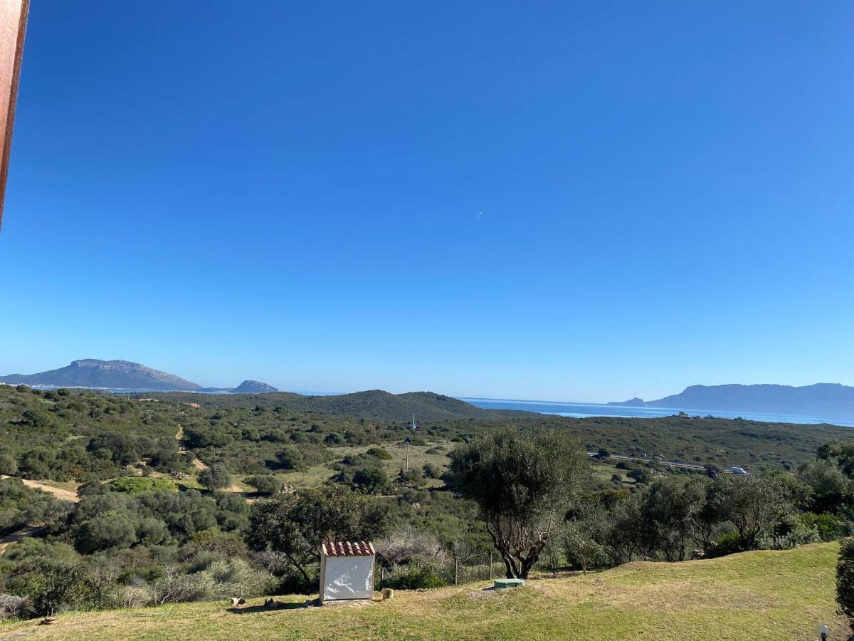 Casa Edera Villa Olbia Exterior photo
